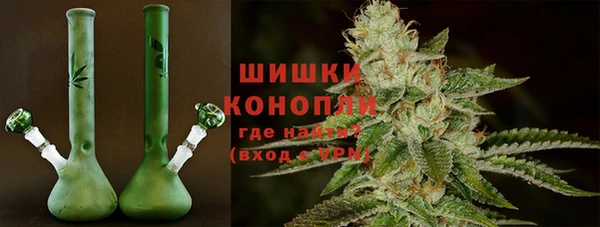 PSILOCYBIN Нея