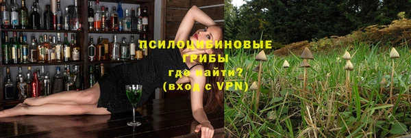 PSILOCYBIN Нея