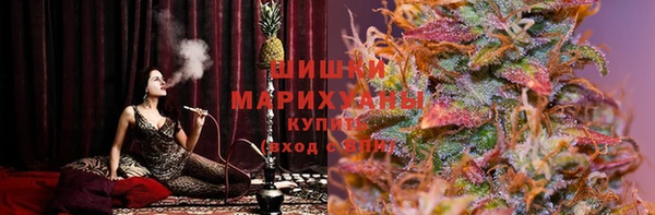 PSILOCYBIN Нея