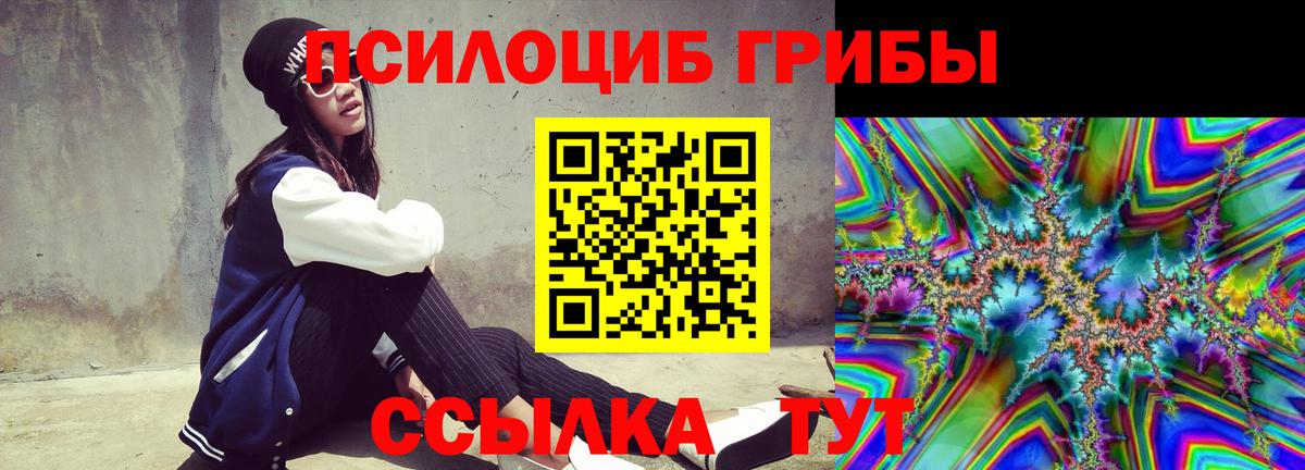 Псилоцибиновые грибы Cubensis  Псилоцибиновые грибы Psilocybine cubensis  Волгоград  Вход с VPN 
