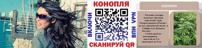 Каннабис SATIVA & INDICA  Волгоград 